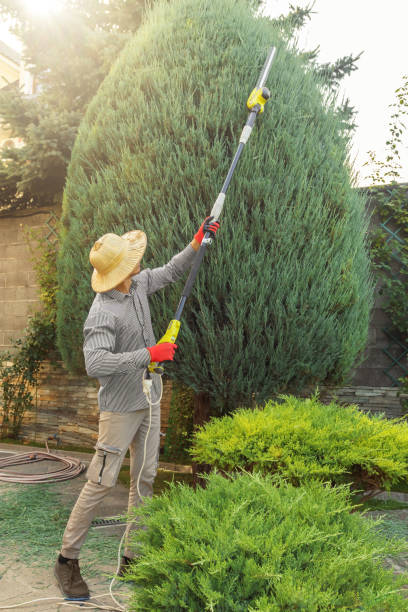 Artificial Turf Installation in Westchester, IL